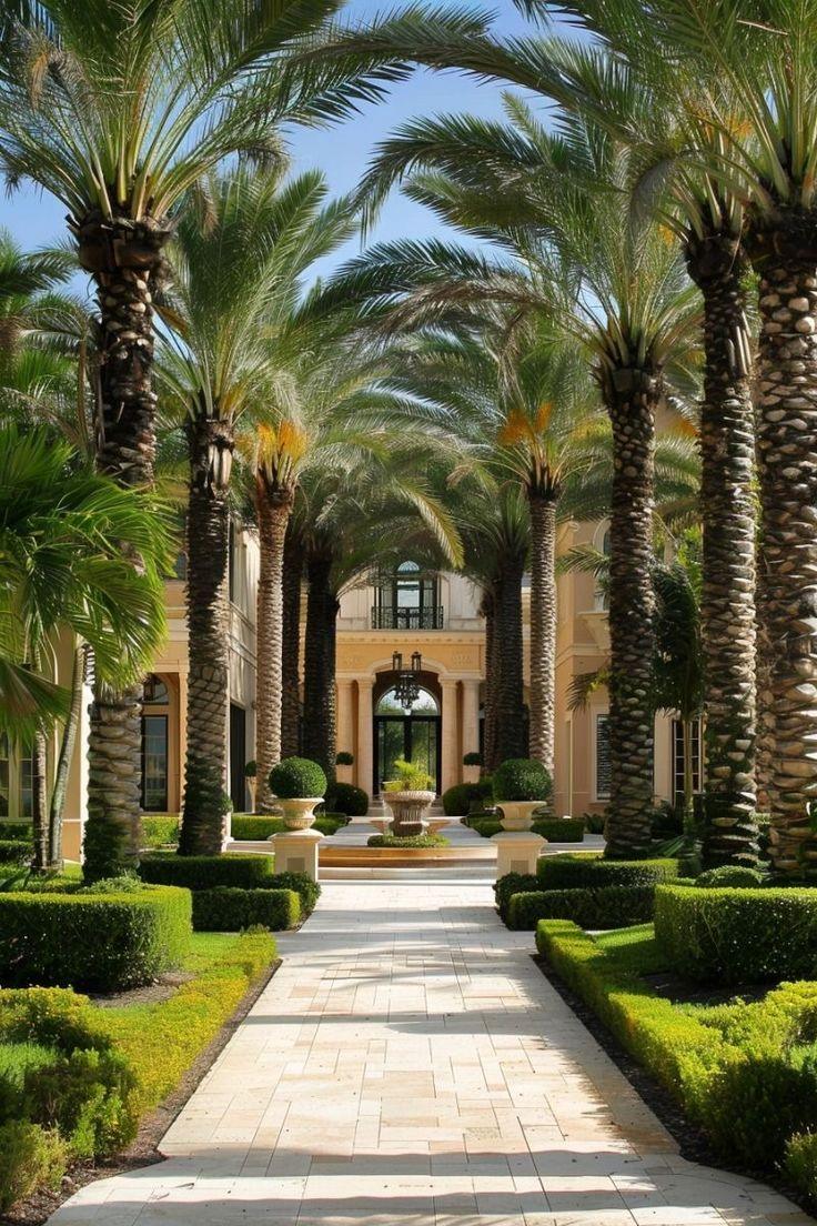 Precedent study: Palm allée · processional arrival
